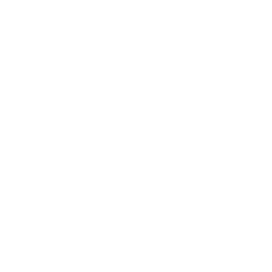 NorthCarolinaStateSeal_WhiteTransBack2